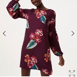 Petite Loft Autumn Dress